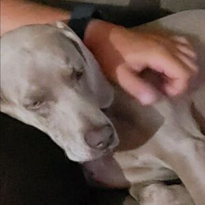 Meet your Posher, Lynn